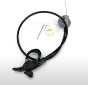 photo_2025-03-31_15-05-11