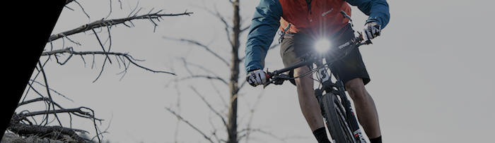 Screenshot_2020-05-02 CATEYE.png