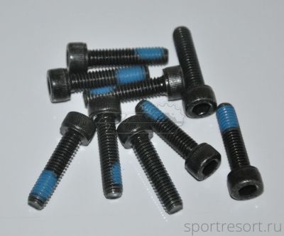 Болт M6х25 мм (каленая сталь)