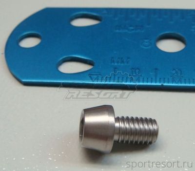 Болт титановый M6x10 мм