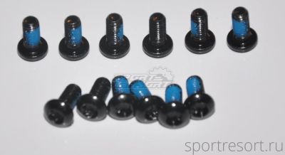 Болты для ротора М5х10мм (12шт)