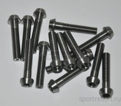Болт титановый M5x28 мм