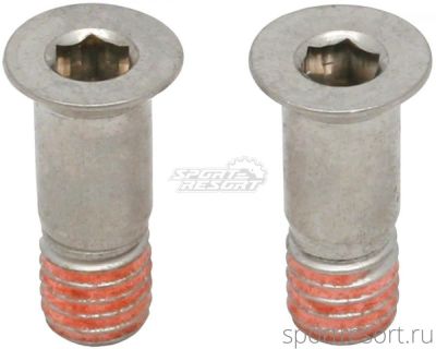 Болты для роликов заднего переключателя Shimano (пара) Y5V598140