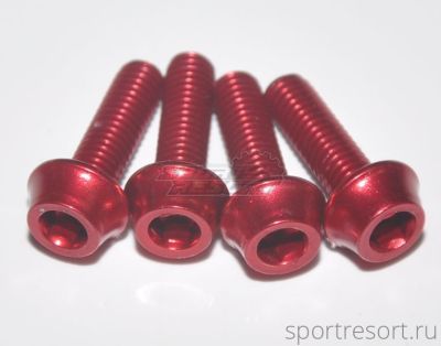 Болты Token TK-B516 Red M5x16 мм (4 шт)