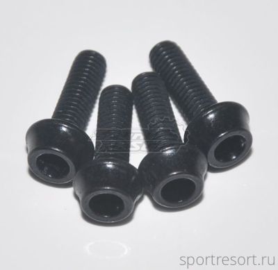 Болты Token TK-B516 Black M5x16 мм (4 шт)